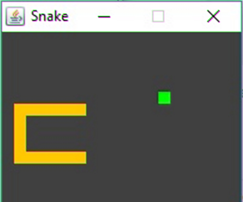 Project Snake